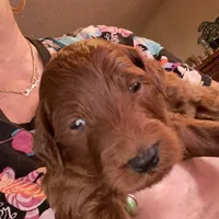 processed/610d0374-4b69-4bc2-ae62-bc594314ff88/facility/2ba35536-b558-4f18-93d4-133b129e0539