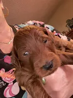 processed/610d0374-4b69-4bc2-ae62-bc594314ff88/facility/2ba35536-b558-4f18-93d4-133b129e0539