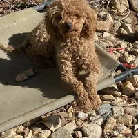 processed/610d0374-4b69-4bc2-ae62-bc594314ff88/facility/3367c9e3-8f5b-4506-8084-529427850c0a