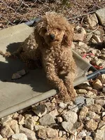 processed/610d0374-4b69-4bc2-ae62-bc594314ff88/facility/3367c9e3-8f5b-4506-8084-529427850c0a