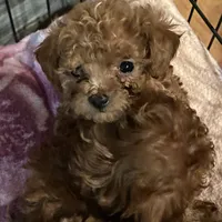 processed/610d0374-4b69-4bc2-ae62-bc594314ff88/facility/7df26621-186e-4e56-a85d-3abc808afd9f