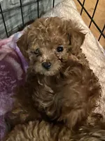 processed/610d0374-4b69-4bc2-ae62-bc594314ff88/facility/7df26621-186e-4e56-a85d-3abc808afd9f