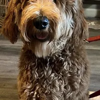 processed/610d0374-4b69-4bc2-ae62-bc594314ff88/facility/863d6897-64b8-459c-91b9-cce11ee76606