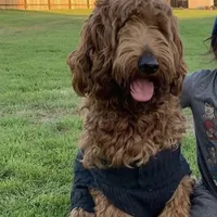 processed/610d0374-4b69-4bc2-ae62-bc594314ff88/facility/c3c9d59e-e076-45dc-a760-af49eb548a50