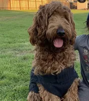 processed/610d0374-4b69-4bc2-ae62-bc594314ff88/facility/c3c9d59e-e076-45dc-a760-af49eb548a50