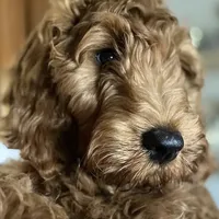 processed/610d0374-4b69-4bc2-ae62-bc594314ff88/facility/e3f18245-7c63-4945-90b9-c5b41da9a26e