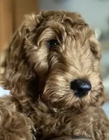 processed/610d0374-4b69-4bc2-ae62-bc594314ff88/facility/e3f18245-7c63-4945-90b9-c5b41da9a26e