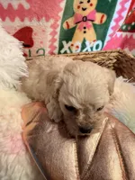 processed/610d0374-4b69-4bc2-ae62-bc594314ff88/listing/046983cb-45fb-48f7-b853-58a67545fa1b/2de27ed7-3a9b-4a88-ab06-ab01e65c62ca