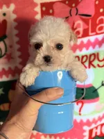 processed/610d0374-4b69-4bc2-ae62-bc594314ff88/listing/046983cb-45fb-48f7-b853-58a67545fa1b/67251219-d09d-4d8d-83cb-1967e156ec7b