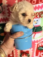 processed/610d0374-4b69-4bc2-ae62-bc594314ff88/listing/046983cb-45fb-48f7-b853-58a67545fa1b/9df3f1af-a301-4da8-9e0f-758feb88d8f9