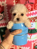 processed/610d0374-4b69-4bc2-ae62-bc594314ff88/listing/046983cb-45fb-48f7-b853-58a67545fa1b/bbe1825d-eccc-48be-94c9-81558ae984ea