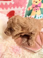 processed/610d0374-4b69-4bc2-ae62-bc594314ff88/listing/4c82d116-a033-49bb-95a2-2a3e95ad21fa/2bbd4773-7640-4742-abb4-3f15b4ab4d40