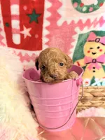 processed/610d0374-4b69-4bc2-ae62-bc594314ff88/listing/4c82d116-a033-49bb-95a2-2a3e95ad21fa/eac664a6-ee35-4449-ab35-bdfdb4c03780