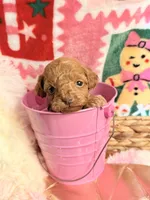 processed/610d0374-4b69-4bc2-ae62-bc594314ff88/listing/4c82d116-a033-49bb-95a2-2a3e95ad21fa/fcfb7ec3-5336-4bcb-b8ed-dba8211f5be4