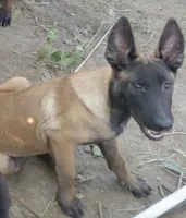 processed/610d0374-4b69-4bc2-ae62-bc594314ff88/listing/7ee3d765-19c9-4e2d-a897-c9e27aa8cbb5/3b3638b5-075d-42ae-8a89-227210799491