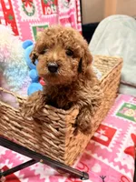 processed/610d0374-4b69-4bc2-ae62-bc594314ff88/listing/afa3f9fd-bcd0-47a0-9342-616e3811116b/29a2357a-f853-4f8f-a947-644fa3880a42