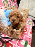 processed/610d0374-4b69-4bc2-ae62-bc594314ff88/listing/afa3f9fd-bcd0-47a0-9342-616e3811116b/351fc66f-c8aa-4041-9da7-3db0199a5789