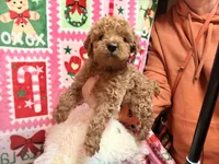 processed/610d0374-4b69-4bc2-ae62-bc594314ff88/listing/afa3f9fd-bcd0-47a0-9342-616e3811116b/b860bb90-4ebd-4505-8701-ba4d4235114e