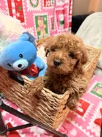 processed/610d0374-4b69-4bc2-ae62-bc594314ff88/listing/afa3f9fd-bcd0-47a0-9342-616e3811116b/c77132e6-22c3-4922-98b8-61425cae1454