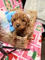 processed/610d0374-4b69-4bc2-ae62-bc594314ff88/listing/afa3f9fd-bcd0-47a0-9342-616e3811116b/c98c9646-5287-46df-be48-c66e30a58297