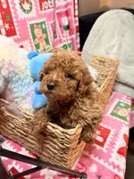 processed/610d0374-4b69-4bc2-ae62-bc594314ff88/listing/afa3f9fd-bcd0-47a0-9342-616e3811116b/cd4846d0-4981-4a8b-9736-8cf9c5d44c5c