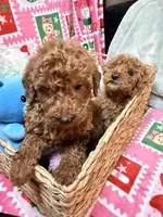 processed/610d0374-4b69-4bc2-ae62-bc594314ff88/listing/afa3f9fd-bcd0-47a0-9342-616e3811116b/cf35c00c-603b-4e0d-af33-4fc166323230