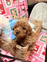 processed/610d0374-4b69-4bc2-ae62-bc594314ff88/listing/afa3f9fd-bcd0-47a0-9342-616e3811116b/ed7e8a8b-7a55-4afd-a387-28b8a955215d