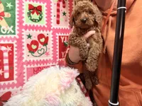 processed/610d0374-4b69-4bc2-ae62-bc594314ff88/listing/afa3f9fd-bcd0-47a0-9342-616e3811116b/f942d54e-8570-4572-b387-27ad2fa44218