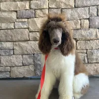 processed/610e672e-c5b7-4c7d-a59c-79d5db063193/facility/13a97cd4-24fc-403e-aab8-4594f7460ed7