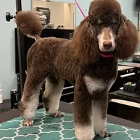 processed/610e672e-c5b7-4c7d-a59c-79d5db063193/facility/7211120d-d5b9-4517-b9c0-ca0491b25034