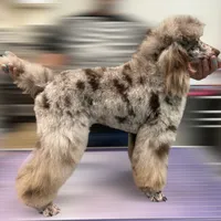 processed/610e672e-c5b7-4c7d-a59c-79d5db063193/facility/c903b994-b637-4cac-947c-ec864add5955