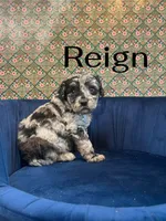 processed/610e672e-c5b7-4c7d-a59c-79d5db063193/listing/3ee55743-e0f8-4921-af8f-036ce350f649/01622550-2c27-41b1-8806-eea860f11168