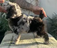 processed/610e672e-c5b7-4c7d-a59c-79d5db063193/listing/3ee55743-e0f8-4921-af8f-036ce350f649/0a67f4dc-e042-4657-9240-c3f6565163bd