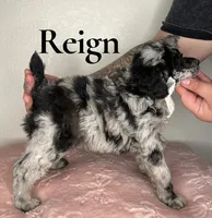 processed/610e672e-c5b7-4c7d-a59c-79d5db063193/listing/3ee55743-e0f8-4921-af8f-036ce350f649/0d433193-ce37-46ad-99e9-4c4d5a0618c0