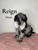 processed/610e672e-c5b7-4c7d-a59c-79d5db063193/listing/3ee55743-e0f8-4921-af8f-036ce350f649/5781668b-0232-41c2-96dc-e7b5b9cd8fd6