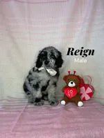 processed/610e672e-c5b7-4c7d-a59c-79d5db063193/listing/3ee55743-e0f8-4921-af8f-036ce350f649/77360177-9f93-4c40-9118-6ac0658e533e