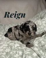 processed/610e672e-c5b7-4c7d-a59c-79d5db063193/listing/3ee55743-e0f8-4921-af8f-036ce350f649/969b789e-a60d-4ea0-ba46-32039019ea94