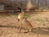 processed/611a310a-8e26-47a4-9128-96176d92a7cd/listing/6c487c5e-0cba-4a8f-b469-321a0ce32116/494ad474-e182-4d41-9b07-ab8bcd5c34b3