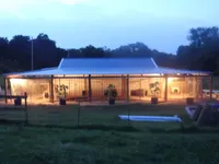 on hold, a female Doberman Pinscher for sale in Stockton, MO – Photo 3 of 9