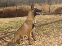 processed/611a310a-8e26-47a4-9128-96176d92a7cd/listing/d967a833-5bf1-4add-bc34-dae39f10fe5f/30a44e80-54c3-4898-a8e5-19ef7da2add3