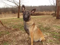 processed/611a310a-8e26-47a4-9128-96176d92a7cd/listing/d967a833-5bf1-4add-bc34-dae39f10fe5f/4421ae3a-5fea-4dd9-a8a0-549511f79202