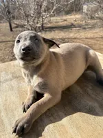 processed/611a310a-8e26-47a4-9128-96176d92a7cd/listing/d967a833-5bf1-4add-bc34-dae39f10fe5f/c2d45dfb-e1f4-40e8-9ca7-1688a0bed367