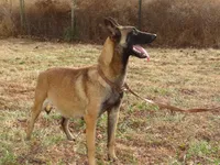 processed/611a310a-8e26-47a4-9128-96176d92a7cd/listing/d967a833-5bf1-4add-bc34-dae39f10fe5f/df49064f-1504-4147-99a2-f8c04786605e