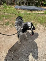 processed/611a310a-8e26-47a4-9128-96176d92a7cd/listing/e21f3d1d-2570-4584-be55-c60be39c8f6c/0d9f3bd8-b625-446f-a5eb-af9928e5f9e3