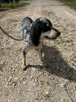 processed/611a310a-8e26-47a4-9128-96176d92a7cd/listing/e21f3d1d-2570-4584-be55-c60be39c8f6c/93a0d5a9-c835-44ea-9d3c-fccefa6eba03