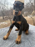 processed/611a310a-8e26-47a4-9128-96176d92a7cd/listing/ebf8233b-d256-4ee6-9f7b-d374ba4b484f/632e6a61-d26c-40e0-922c-6cbacd904859