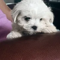 processed/61208bb4-2a8b-4c9f-bb23-038f5e790e94/facility/2dbd5d3c-93b4-4027-b30f-f2e636a12d9e