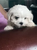 processed/61208bb4-2a8b-4c9f-bb23-038f5e790e94/facility/2dbd5d3c-93b4-4027-b30f-f2e636a12d9e