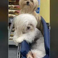 processed/61208bb4-2a8b-4c9f-bb23-038f5e790e94/facility/772a2a33-9f92-4045-bc2c-0e03dc6081b6