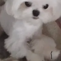 processed/61208bb4-2a8b-4c9f-bb23-038f5e790e94/facility/a5eabb09-9a56-47f6-b660-7c8f145dd458